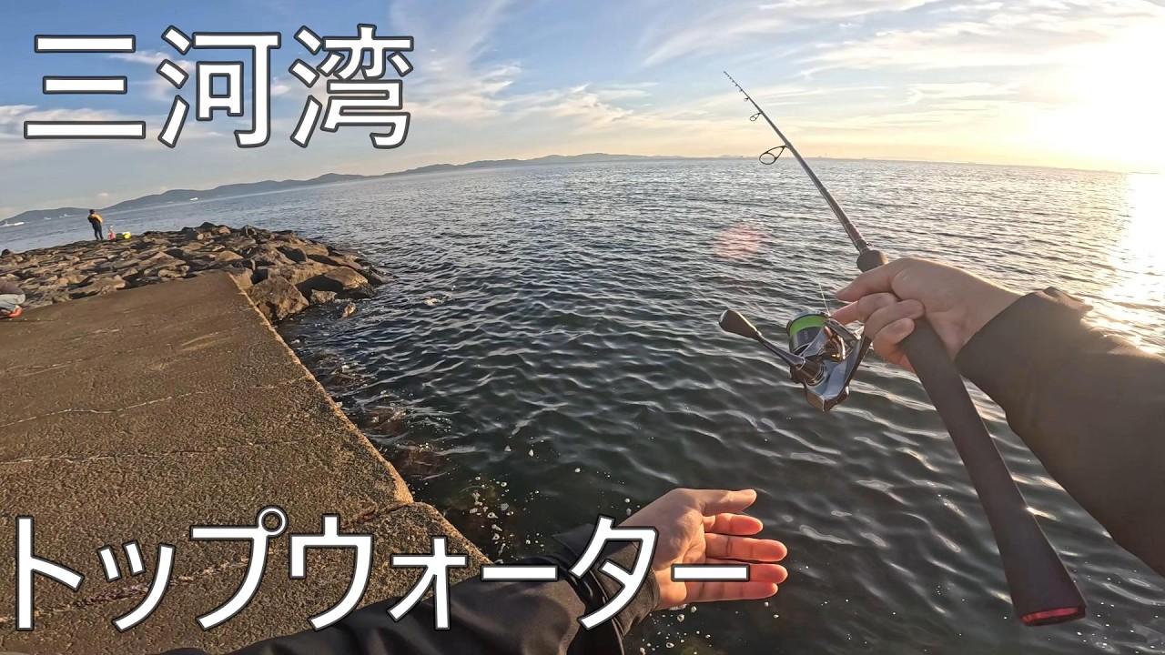 【三河湾で釣り】晩秋の三河湾で釣り、夕方〜夜のトップゲーム【ポップXjr・クリスタルポッパー】