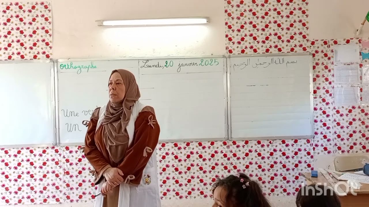 orthographe: le féminin des adjectifs de couleur 🎨