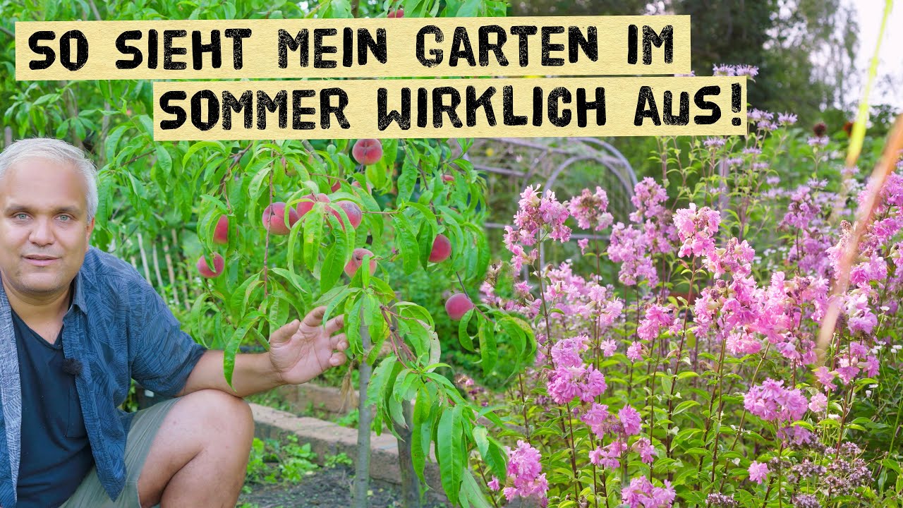 Mein Gem&uuml;segarten im Sommer &ndash; Ernte, Pflege & viele Tipps f&uuml;r die Selbstversorgung