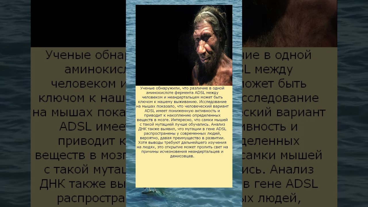 Ген ADSL Секрет превосходства человека над неандертальцами раскрыт