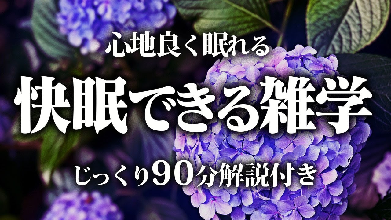 【睡眠導入】良質睡眠の深い雑学【リラックス】ぐっすり快眠できるように雑学をまとめてみました♪