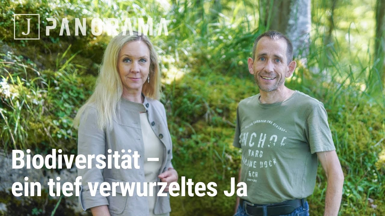 Panorama vom 5. September 2024