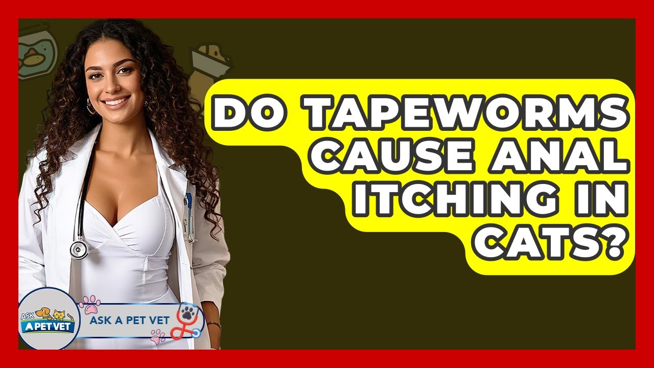Do Tapeworms Cause Anal Itching In Cats? - Ask A Pet Vet