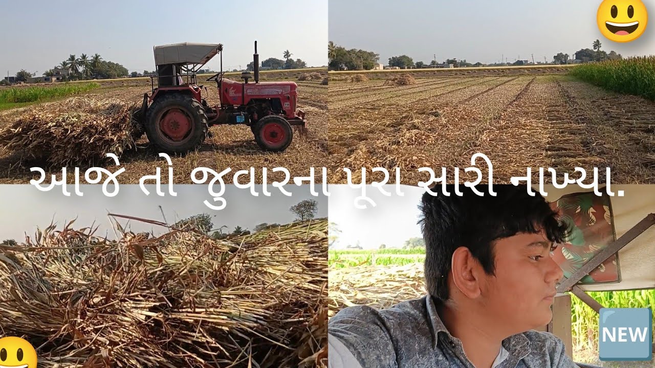 આજે તો  પૂરા સારી નાખ્યા.😃