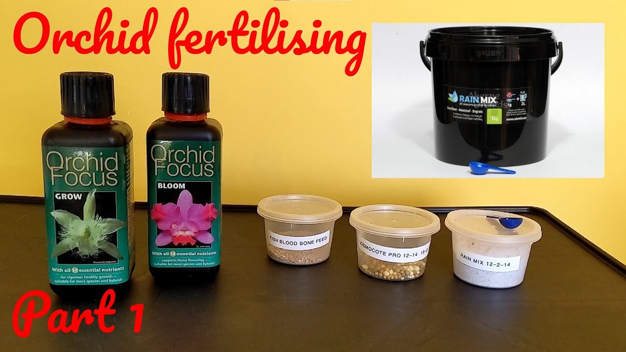 Fertilising orchids chat (Part 1) - various fertilisers