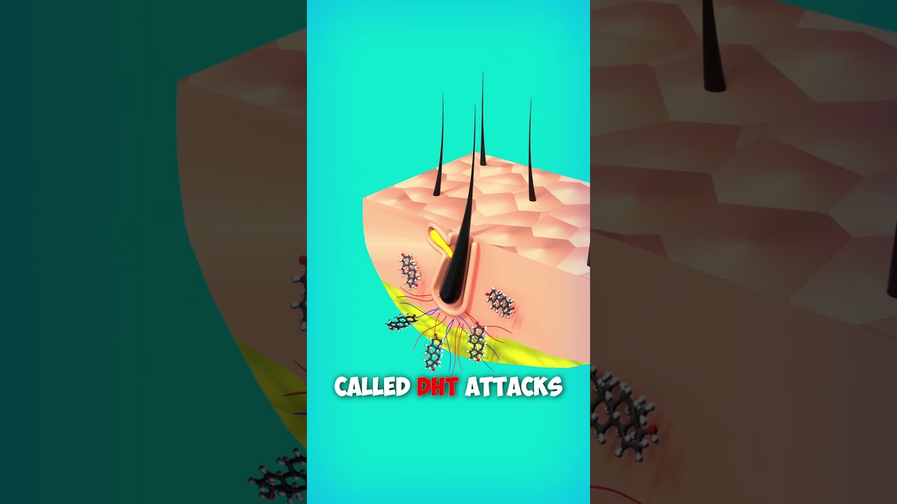 Why Hair Loss? Explained with 3d Animation. #shorts #animation #hair #education