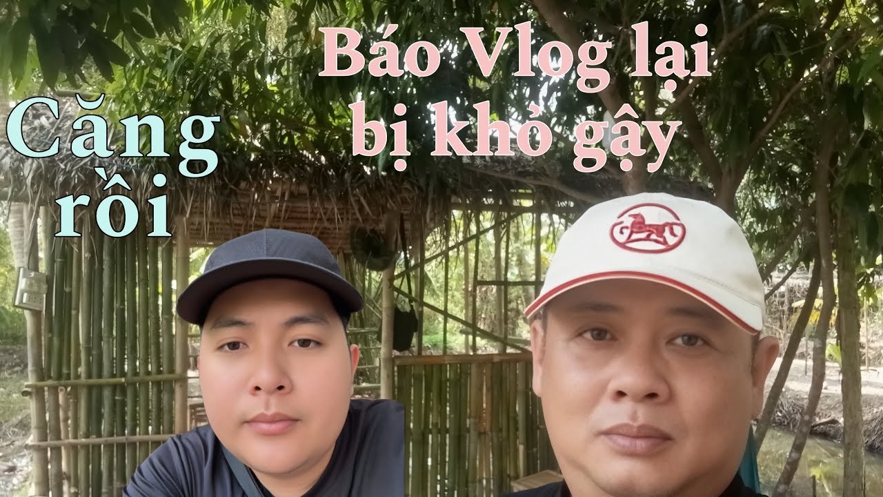 Báo tiếp tục ăn gậy như ý