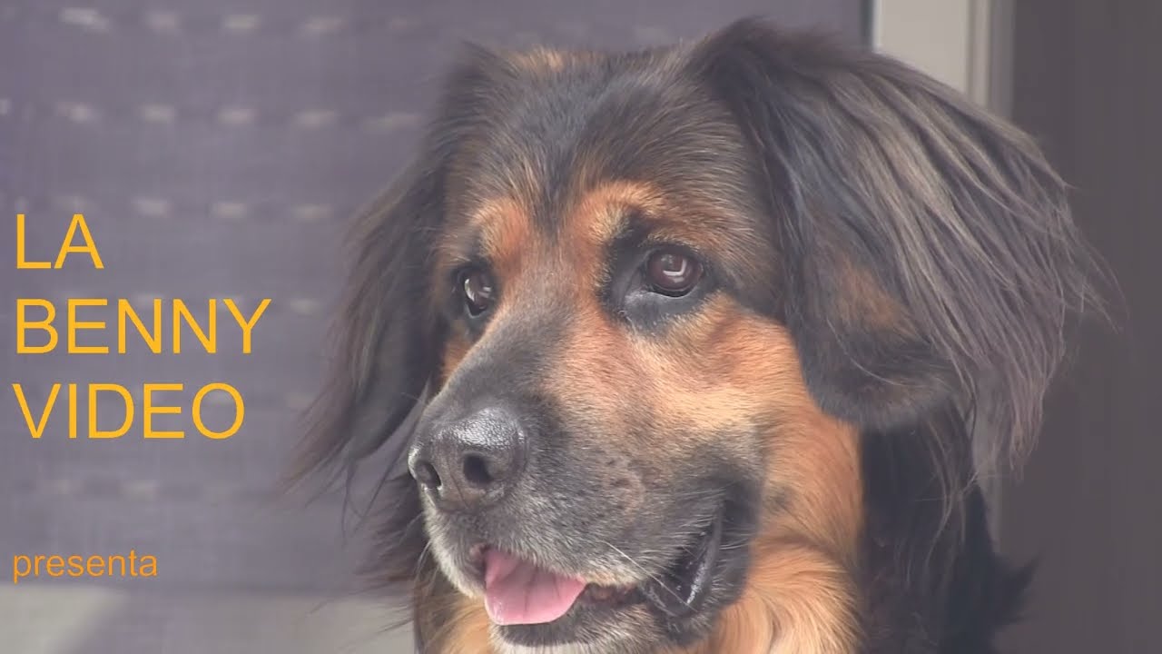 STRADA DEL FERRO DA PREMANA AL RIF  CASERA VECCHIA DI VARRONE