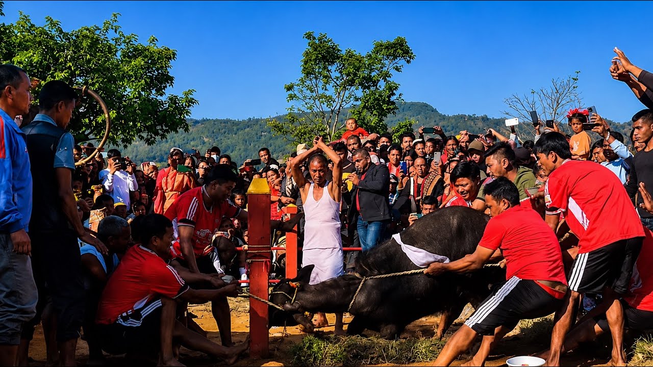 Celebrating Dashain The great festival | Village  Life & Culture | Nepali Village Life Documentaries