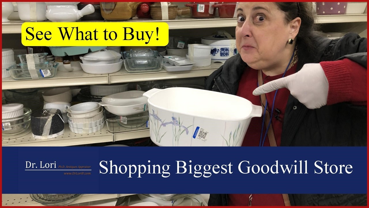 Buy This Shopping at the Biggest Goodwill Store in the USA! - Thrifting with Dr. Lori