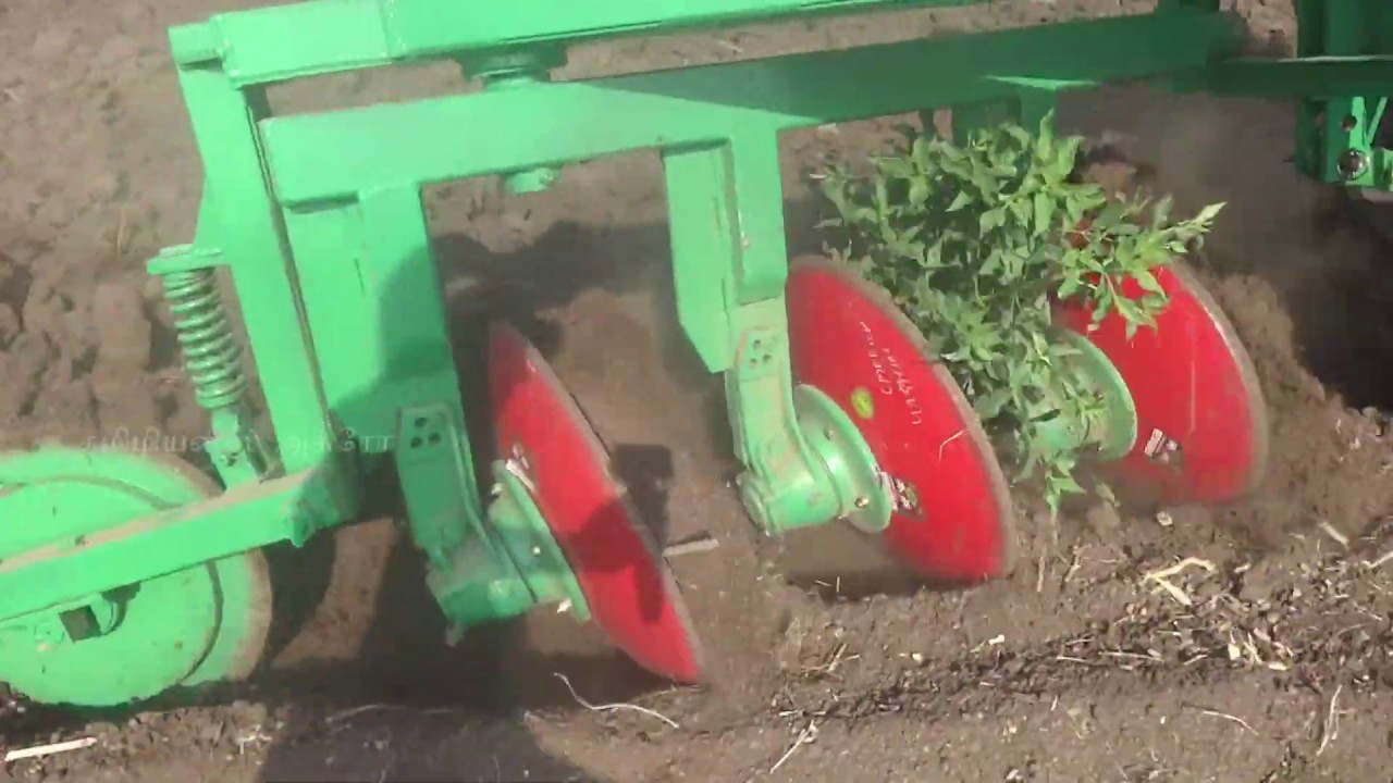 John Deere 5050D 4wd disc plough/சட்டி கலப்பை| Tamilians Agro