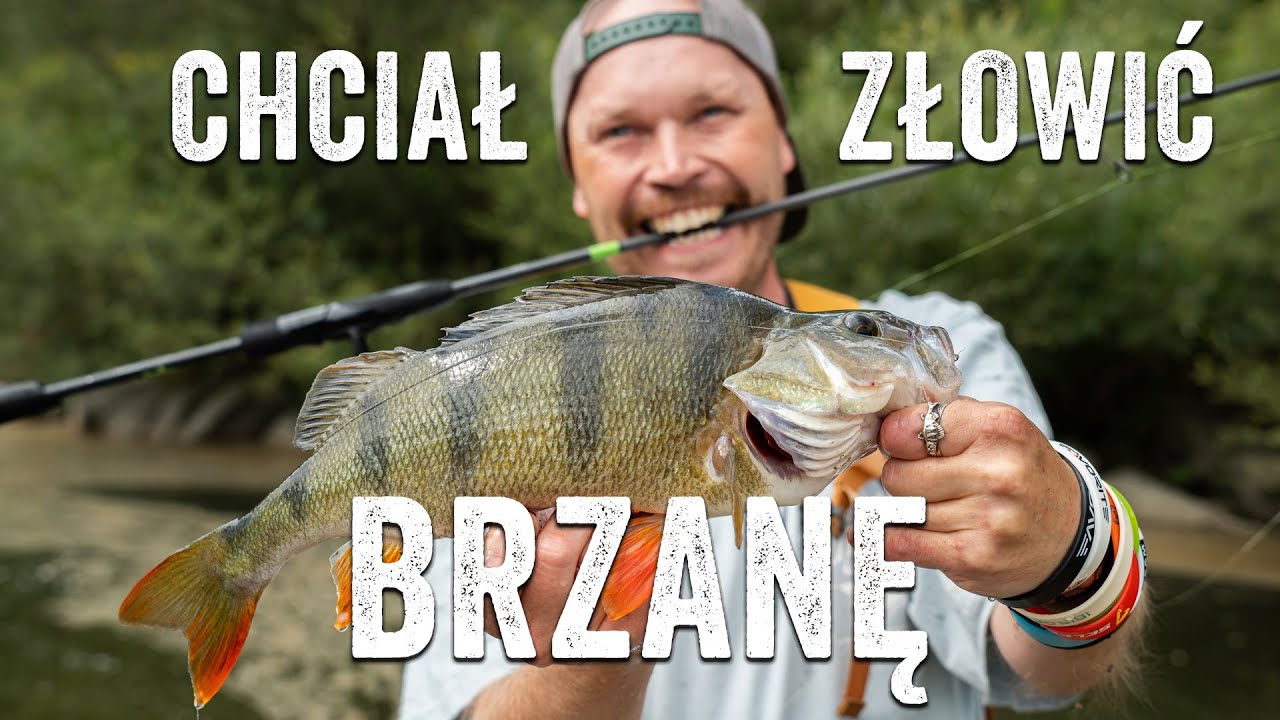Brzany i potężne okonie - Spełnili swoje wędkarskie marzenia PART.1
