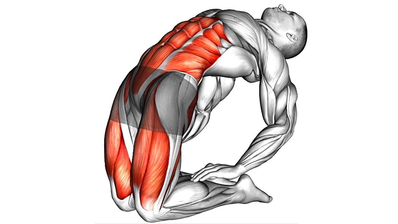 Time-Saving Fitness: Quick 4-Minute Workouts You Can't Miss!