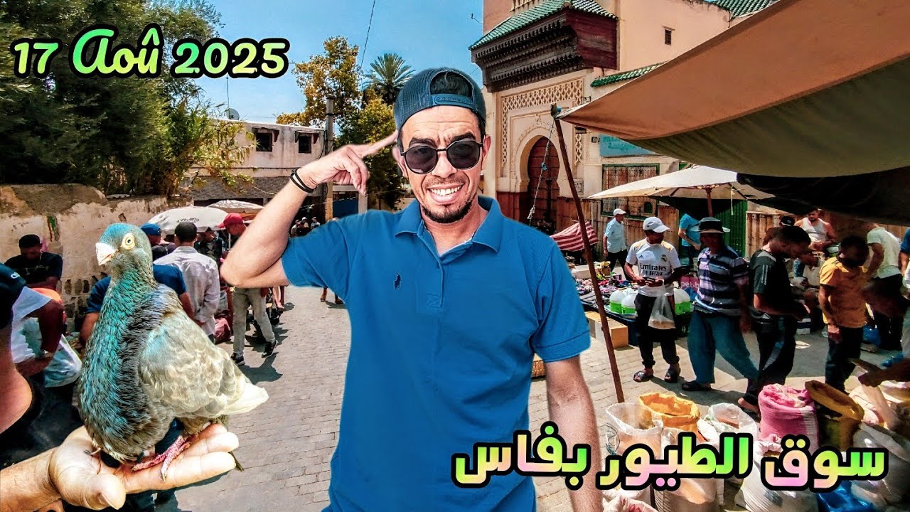 سوق فاس باب الگيسة للطيور المغردة وطيور الزينة marché oiseaux fes bab el guissa 17Aoû 2025