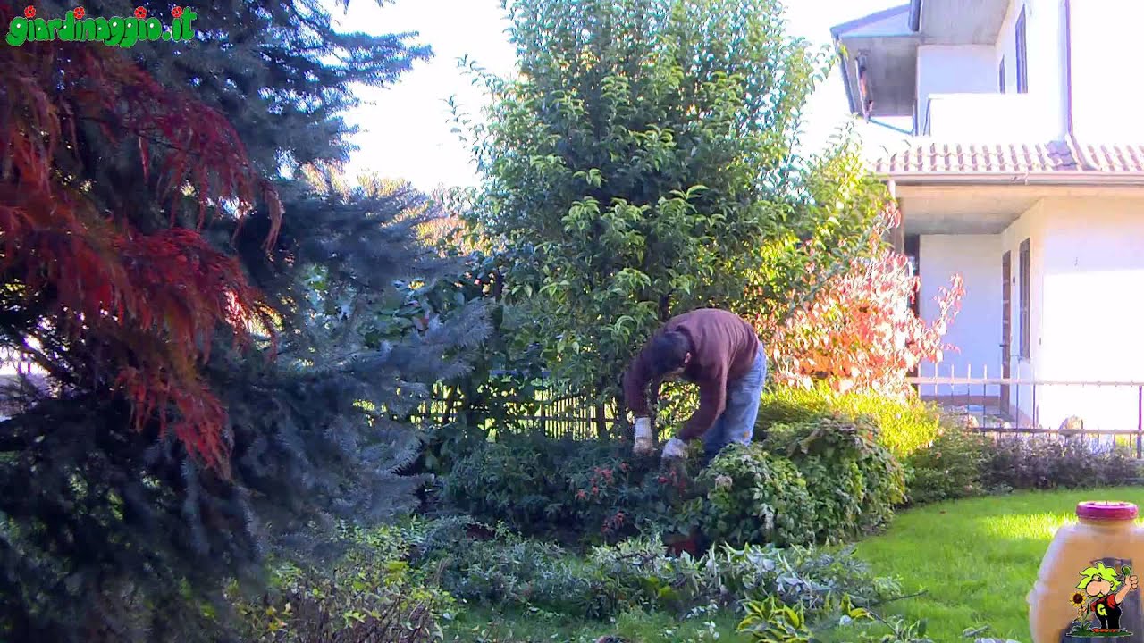Introduzione alle tecniche di giardinaggio