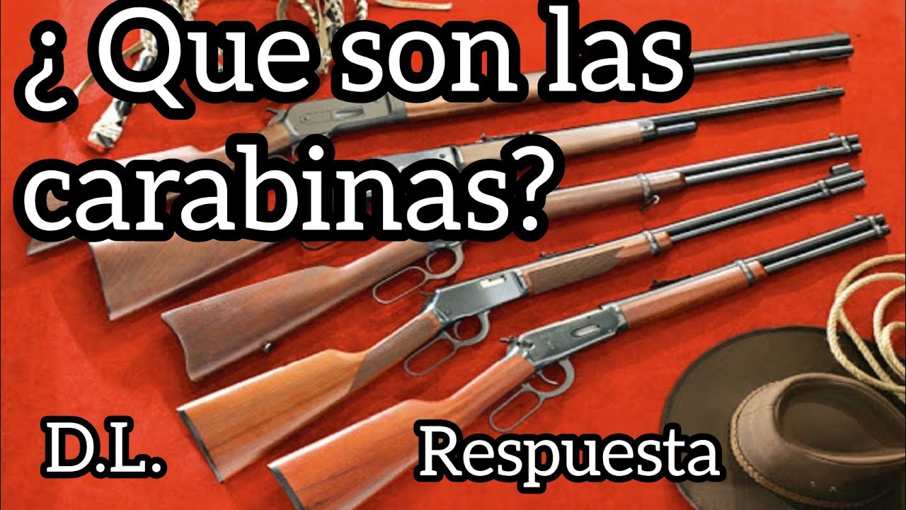 &iquest;Que son las carabinas?