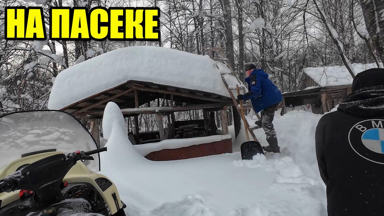 До пасеки на снегоходе. Скидываем снег с крыши