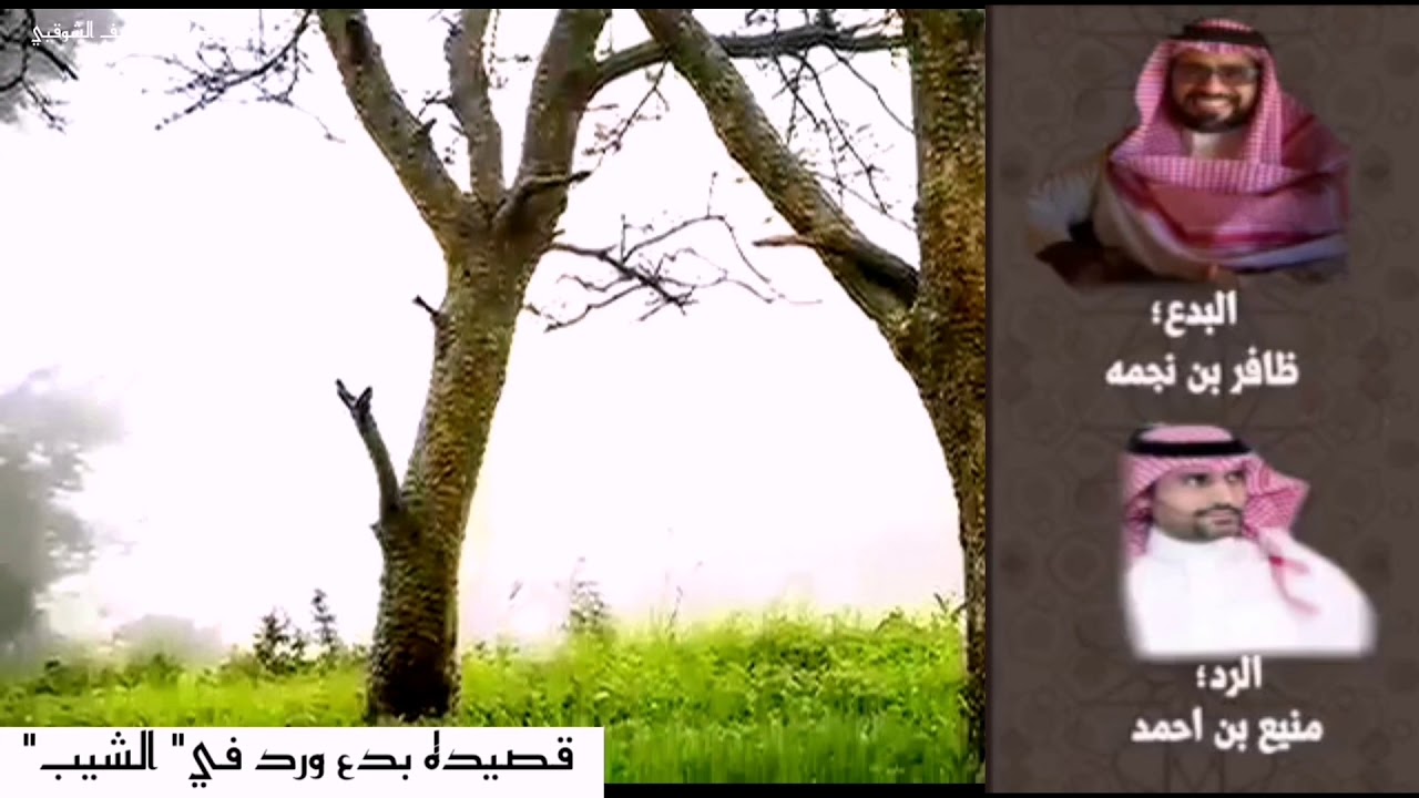 قصيده في