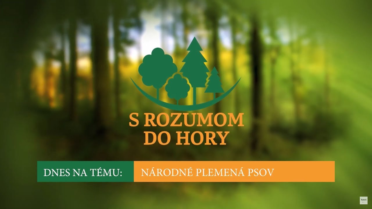 S rozumom do hory: Národné plemená psov