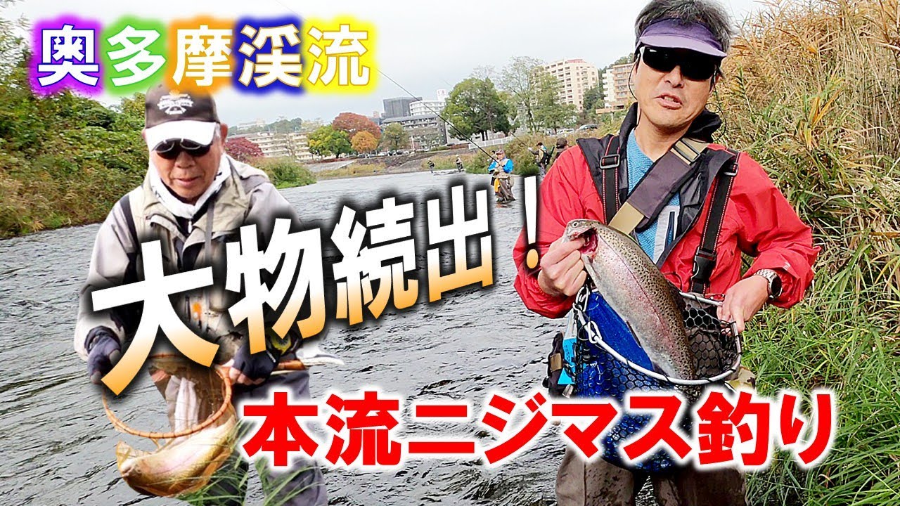 奥多摩本流ニジマス釣り。放流翌日の河辺グランド下に入渓。周囲では続々と大物がヒット！2025/11/10