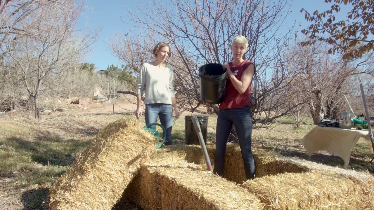 Backyard Composting in the High Desert