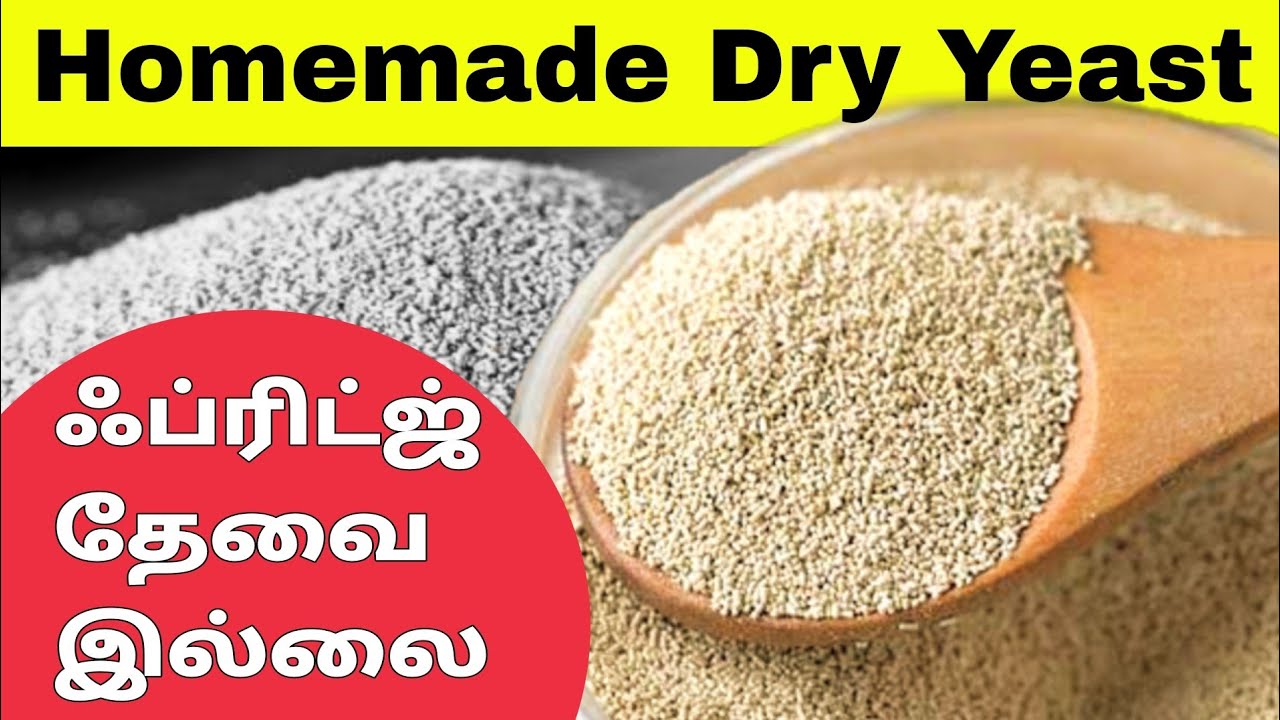 எப்படி வீட்டிலேயே ஈஸ்ட் செய்வது ? - How to Make Dry Yeast at Home ?