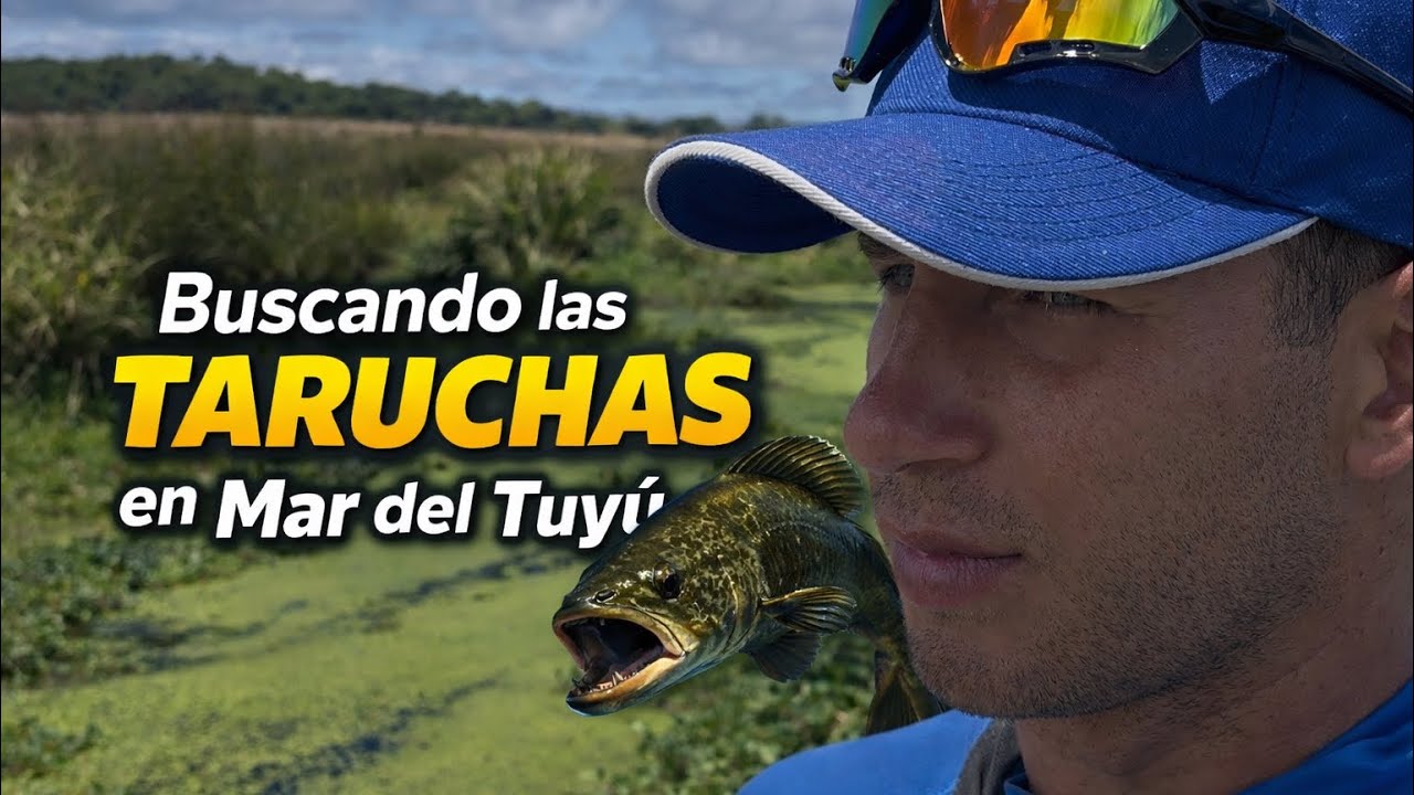 AVENTURAS DE CHICOLINO 3