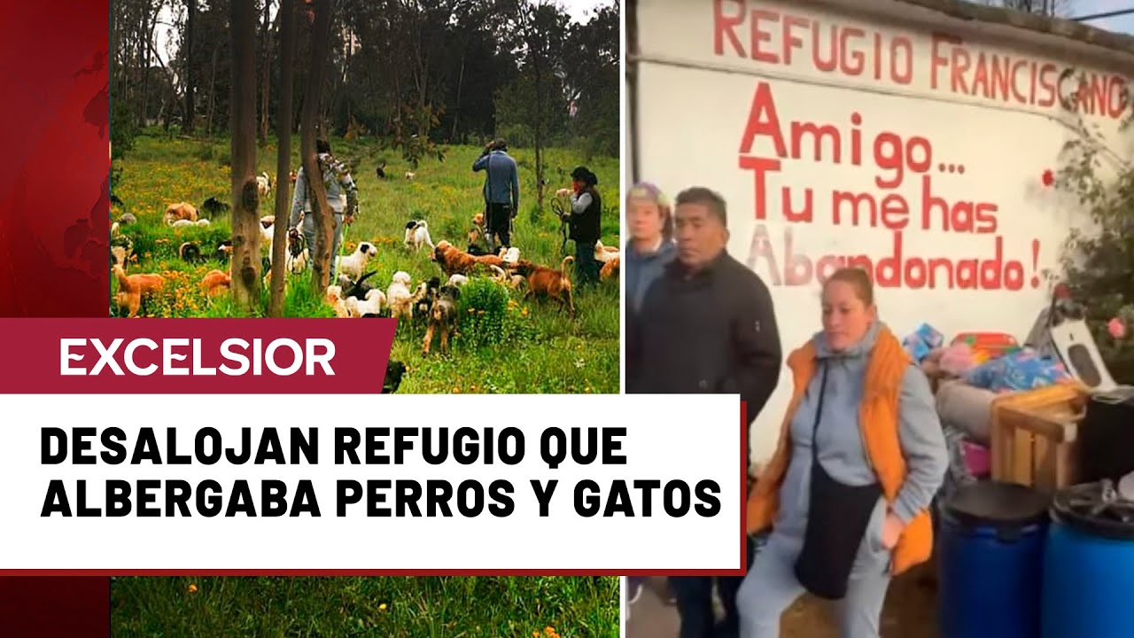 Desalojan Refugio Franciscano que albergaba a más de mil perros y gatos