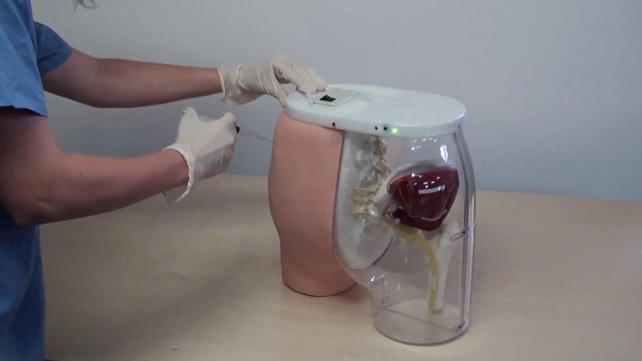 Buttocks Dorsogluteal Intramuscular Injection Simulator