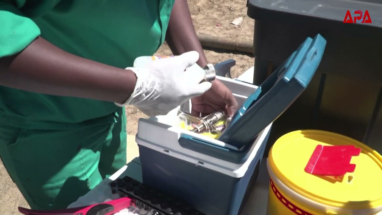 Afrique du Sud : accélération de la vaccination du bétail contre la fièvre aphteuse