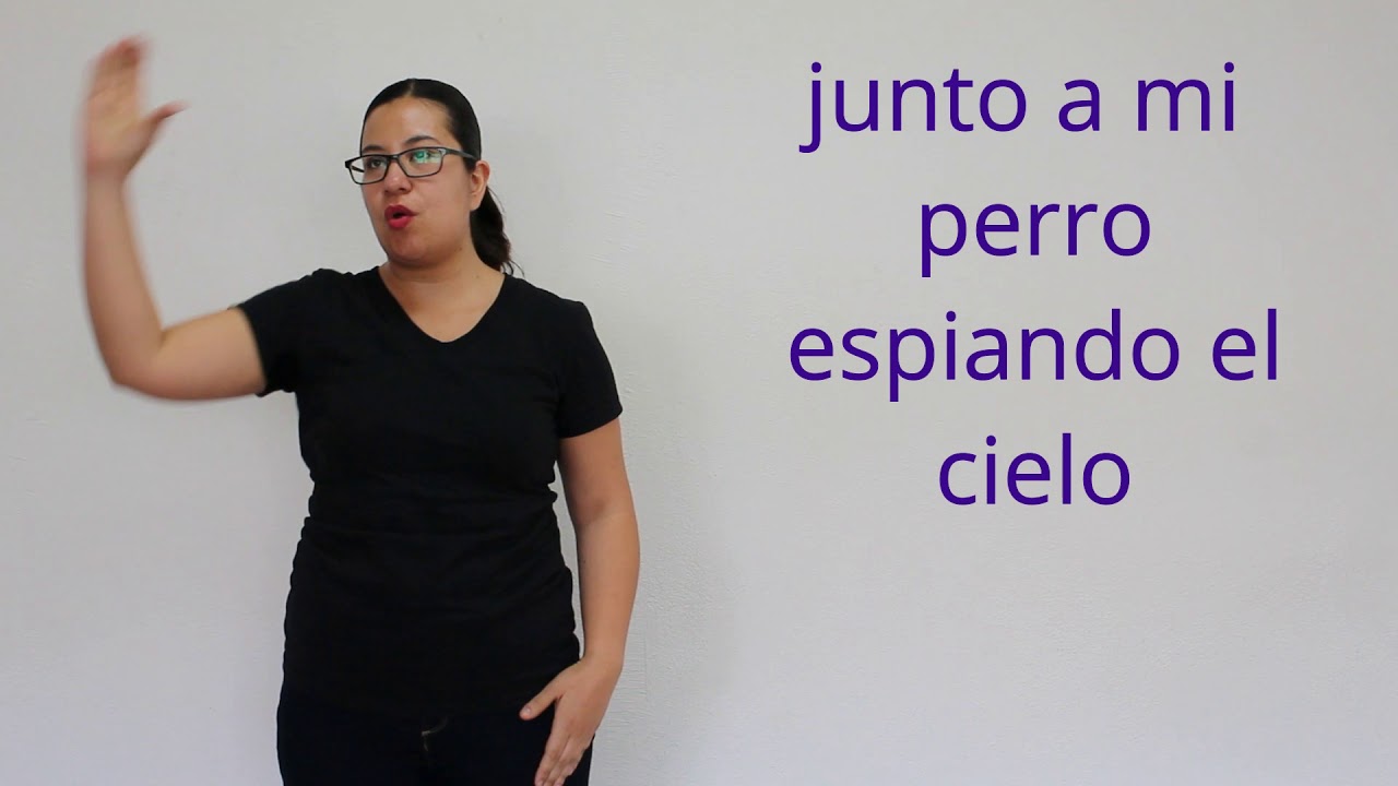 08 Si tu no vuelves. Aprende LSM con canciones