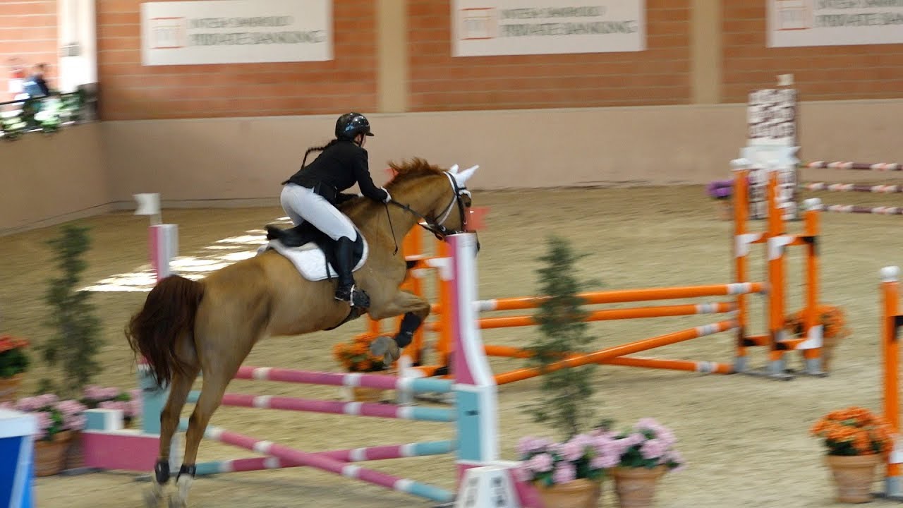 CHRISTMAS SHOW - CONCORSO NAZIONALE TIPO CO* - Gorla M. (VA) 16-12-2017