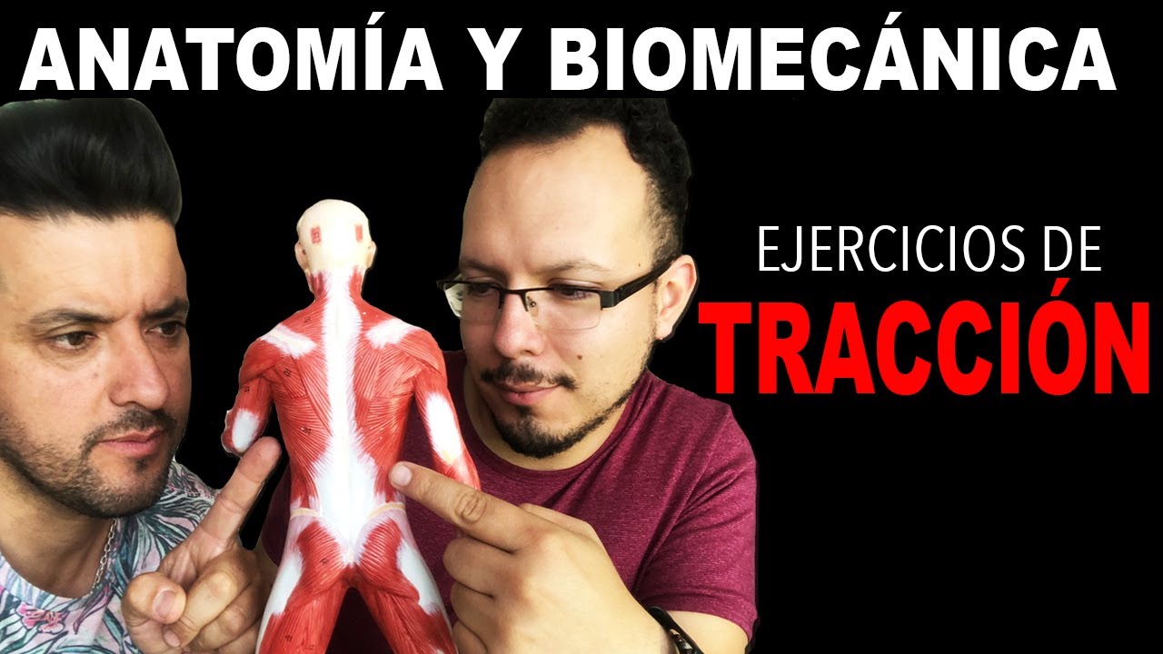 EJERCICIOS DE TRACCION - CONSIDERACIONES PARA EL ENTRENAMIENTO PARA ESPALDA
