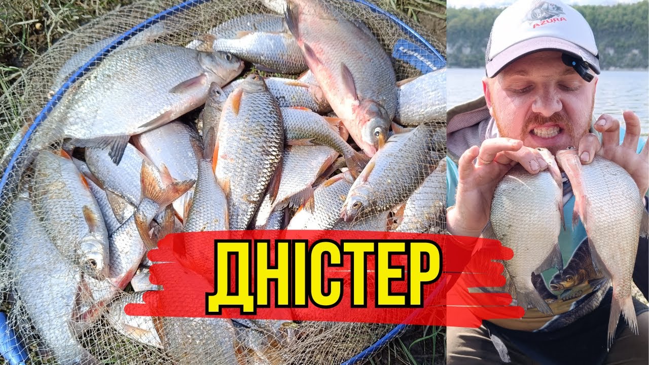 Рибалка на Дністрі. Плотва та ЛЯЩ на Фідер. Який корм замішати?