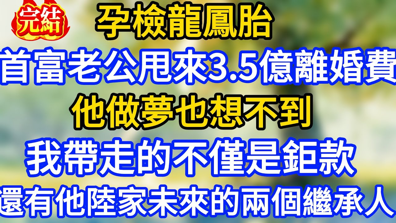 孕檢龍鳳胎，首富老公甩來3.5億離婚費。他做夢也想不到，我帶走的不僅是鉅款，還有他陸家未來的兩個繼承人！