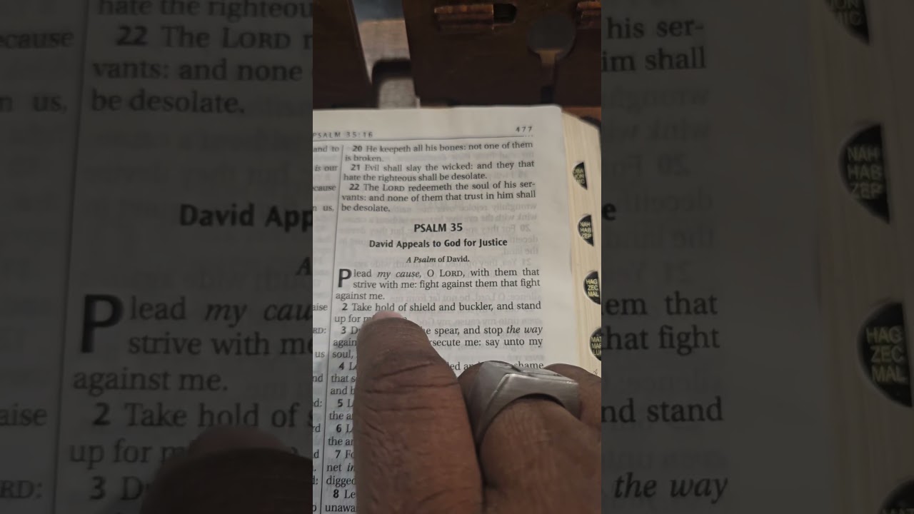 Psalm 35:1-3  -  DAVID'S APPEAL TO GOD FOR JUSTICE PROPHSIES OUR VINDICATOR, JESUS CHRIST. 🔥 🔥 🔥