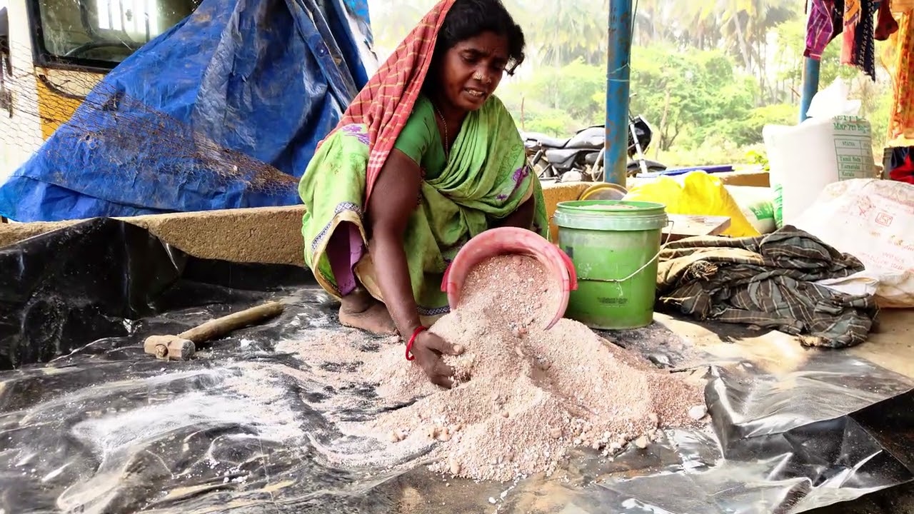 உரம் வைக்கும் முறை மிளகாய் செடிக்கு 