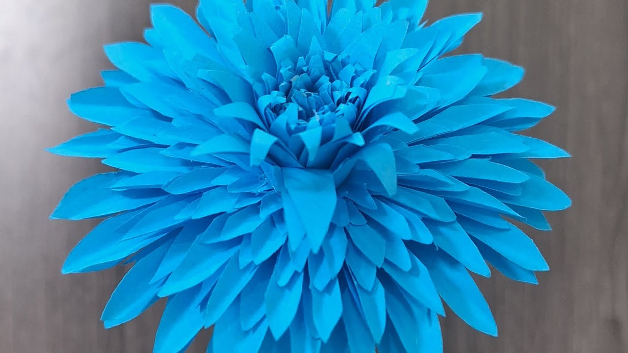 Chrysanthemum flower with paper