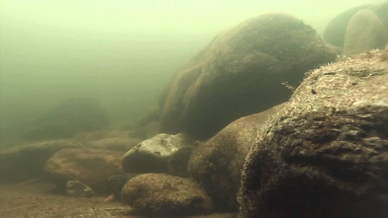 GoPro, Beltsville Lake State Park Spillway, walleye, perch, pannies etc.