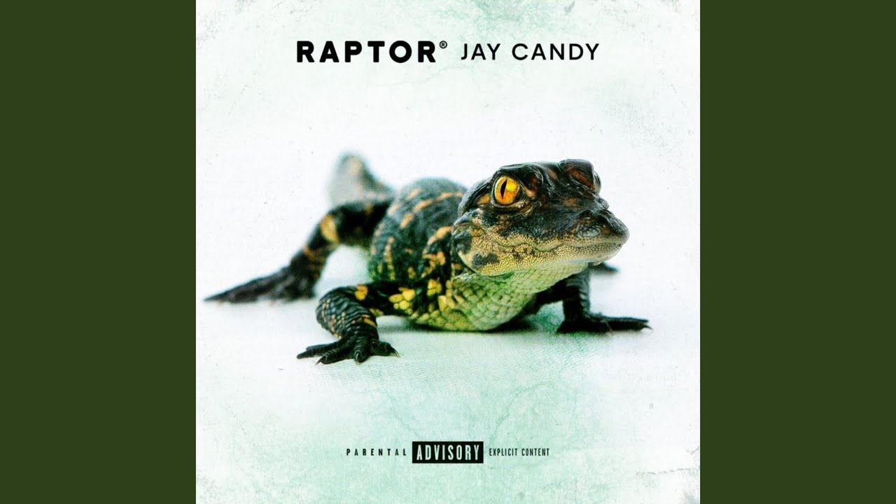 Raptor