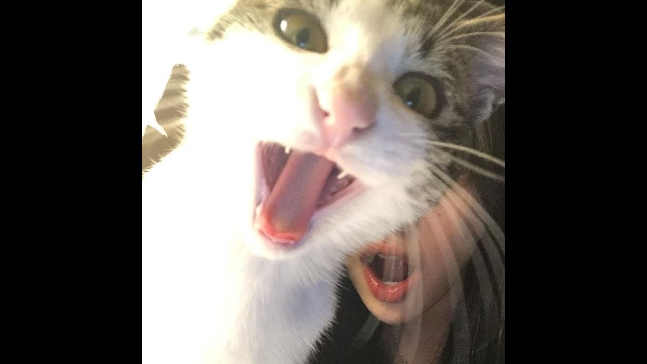 [Free for profit] Sqwore x underscores x jane remover type beat - 