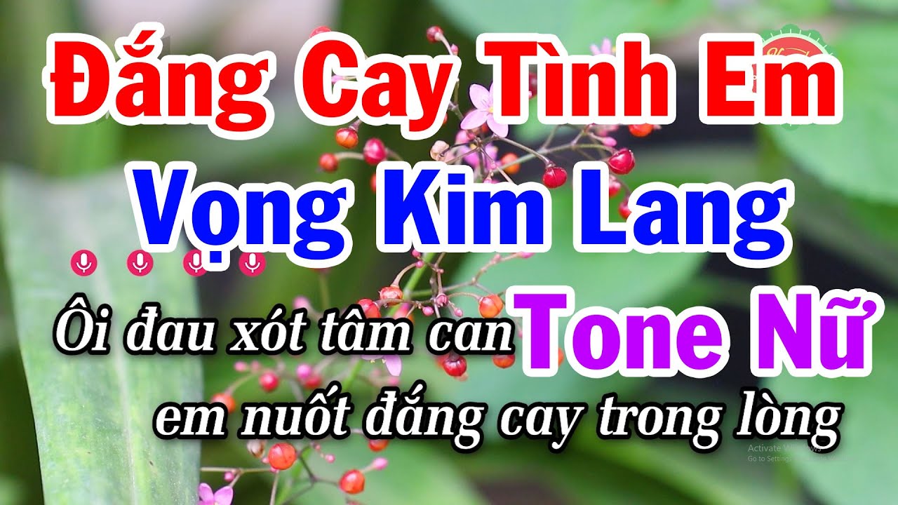 Karaoke Đắng Cay Tình Em - Vọng Kim Lang  Tone Nữ | Karaoke Điệu Lý