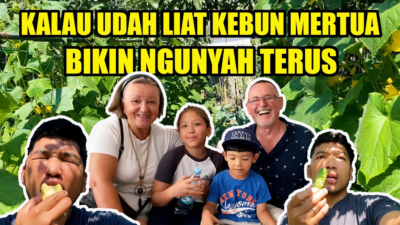 LADANG KEBUN MERTUA SUBUR ‼️ MAU TOUR MALAH ASIK PETIK MAKAN  BUAH ⁉️