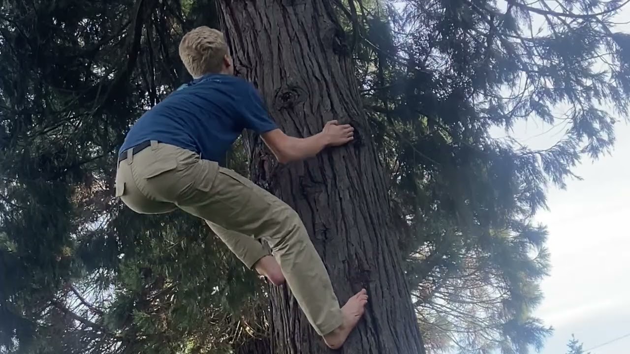 Hardcore Tree Climbing