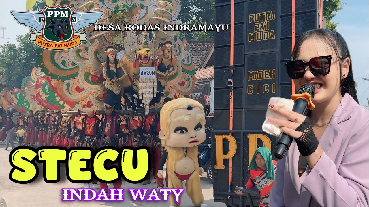 Lagu Viral ❗️STECU STECU voc INDAH WATY | Singa Depok PUTRA PAI MUDA (PPM) Show Desa Bodas Indramayu