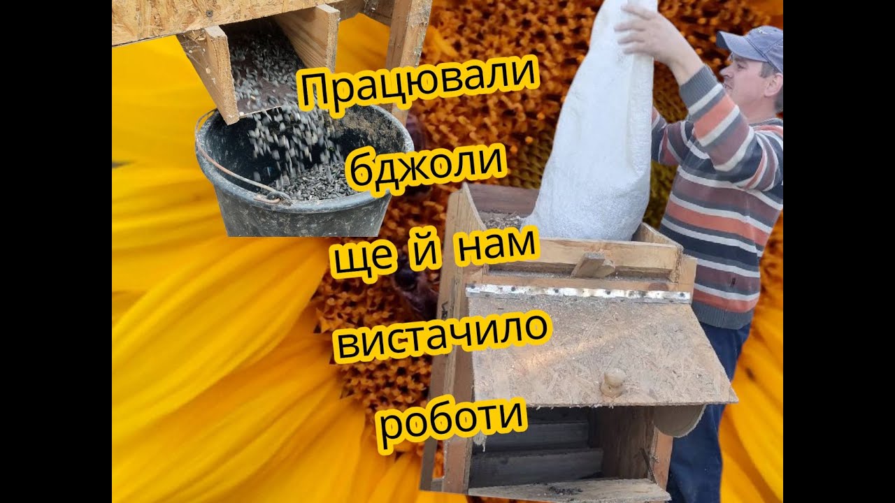 Ось вам і біткоїни, і криптовалюта/Чорне золото в селі не дістанеш якщо не встанеш/Вієм чорне золото