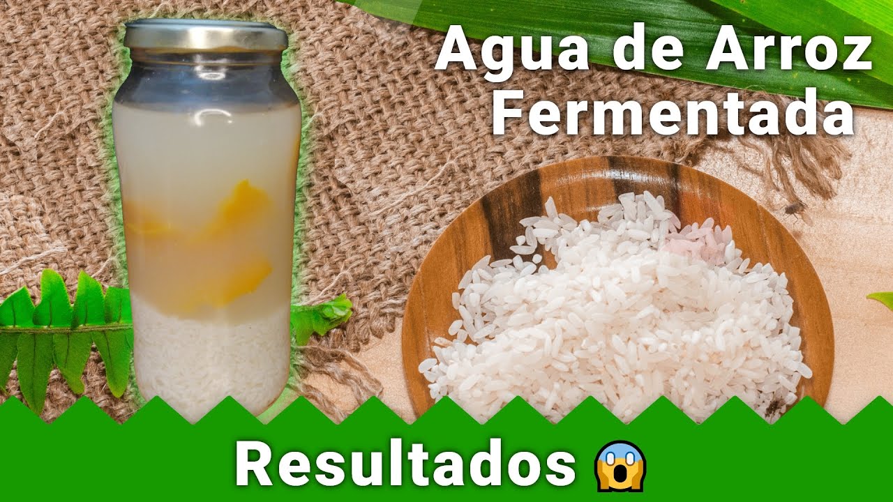 Agua de Arroz Fermentada Para El Crecimiento del Cabello. ANTES Y DESPUÉS!😱😱 | NO ME LO PUEDO CREER🤐
