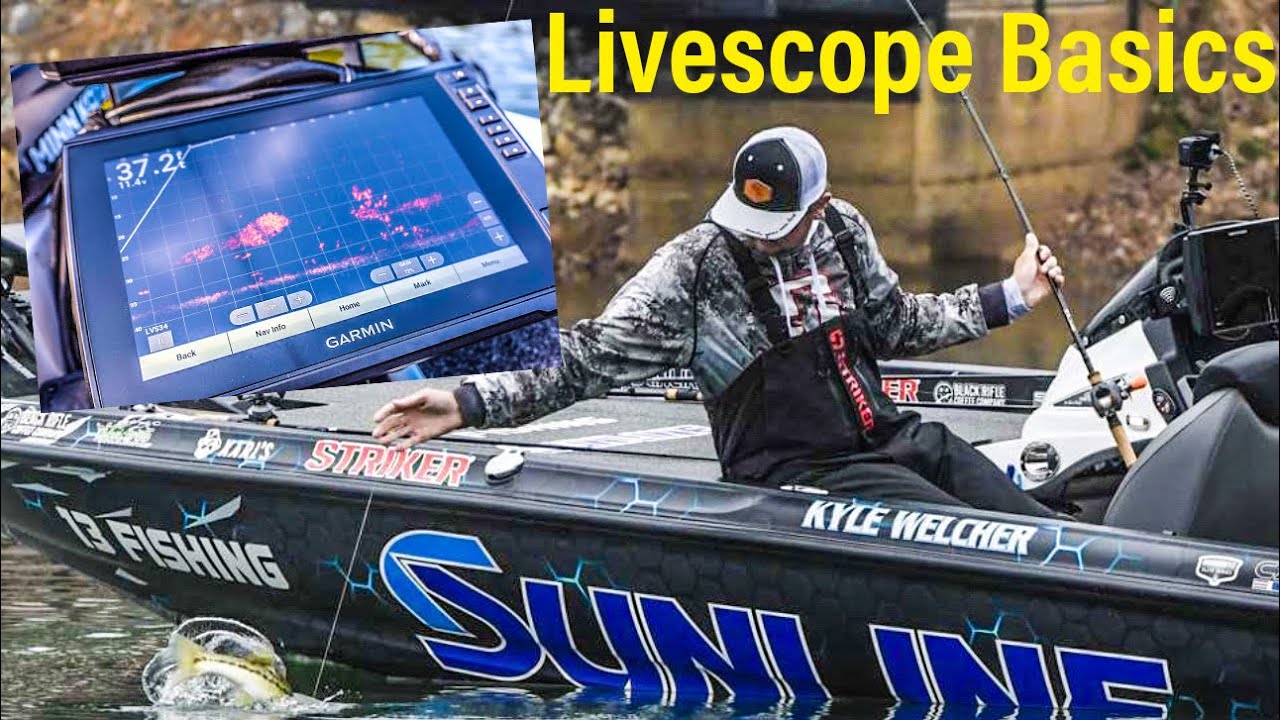 Actual Garmin Livescope Catching Bass (Livescope Screen Footage)