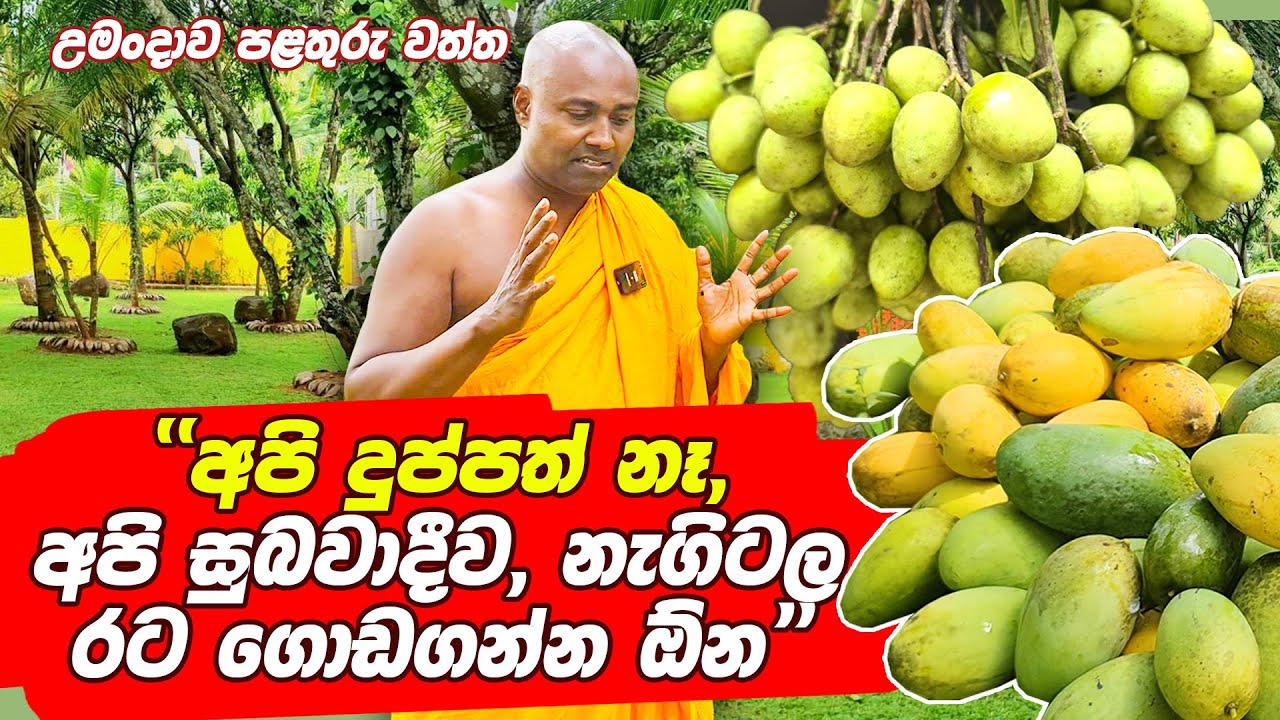 අපි දුප්පත් නෑ, අපි අපි සුබවාදීව නැගිටල රට ගොඩ ගන්න ඕන  | උමංදාව පළතුරු වත්ත