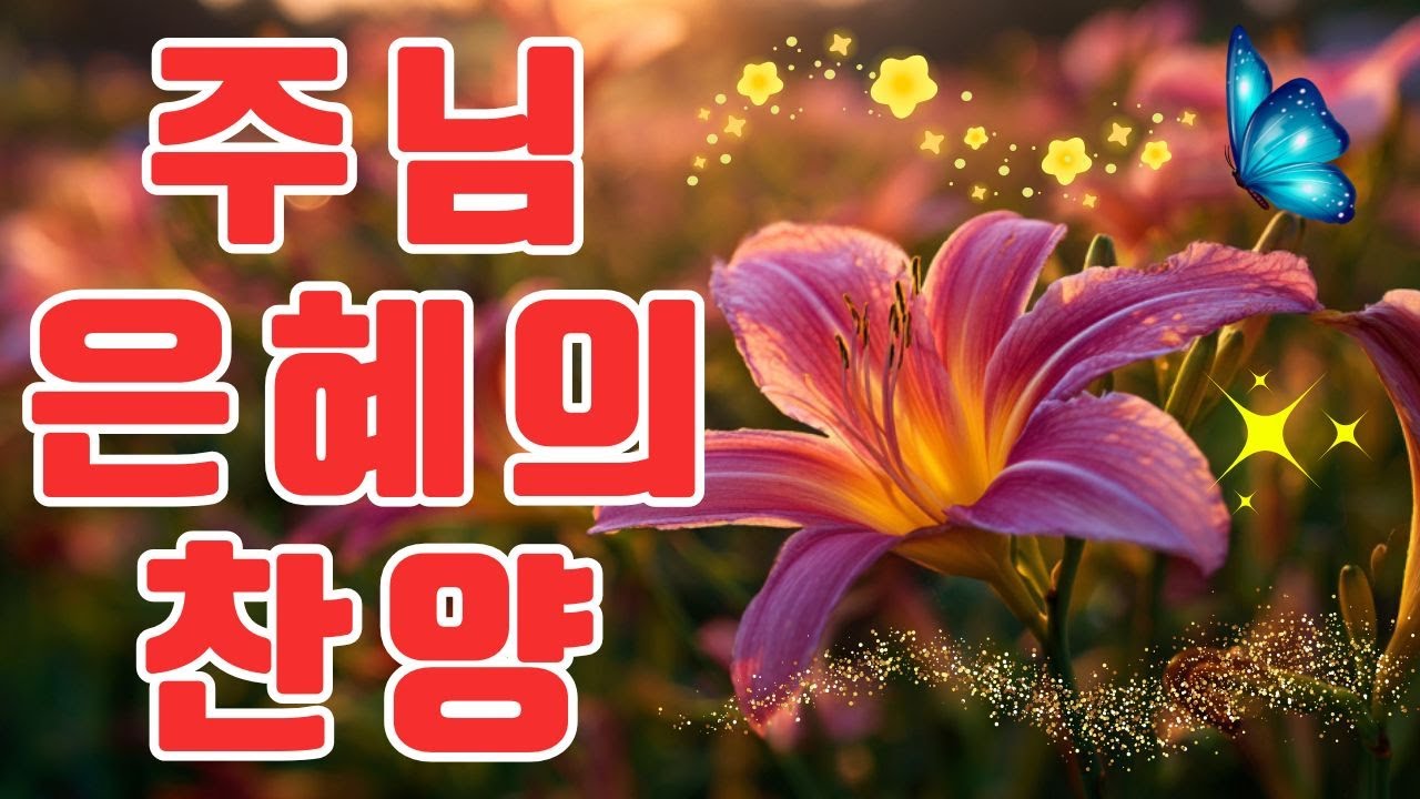주님의 임재를 느끼는 찬양 🙏 한국교회 예배찬송가 베스트 🌟 하나님의 축복이 가득한 찬양 모음집
